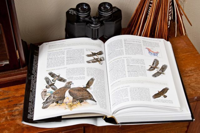 The National Geographic Complete Birds of North America Review • Points ...