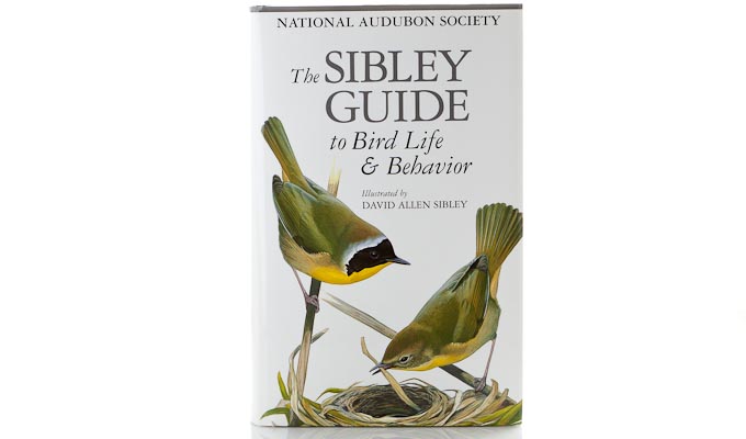 The Sibley Guide To Bird Life And Behavior Review Points