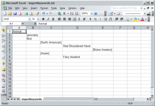 keywords-excel Keyword file being edited in Excel.