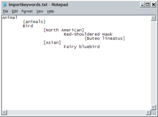 keywords-notepad Keyword file opened in Notepad.