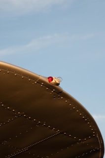 Wing Tip Wing Tip