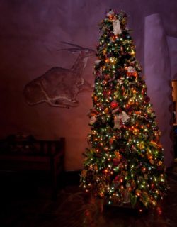 Animal Kingdom Lodge Christmass Tree