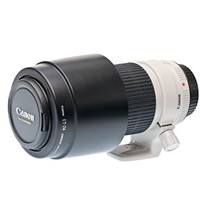 Canon EF 70-200mm f/4L IS USM Lens Review • Points in Focus