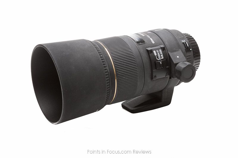 Sigma 150mm f/2.8 EX DG APO HSM Macro Lens Review • Points in 