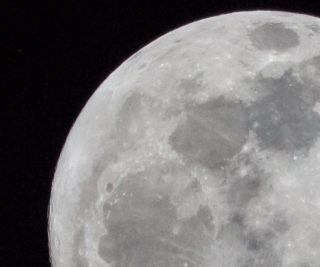 Lightroom processing only. Standard sharpening and contrast boost.