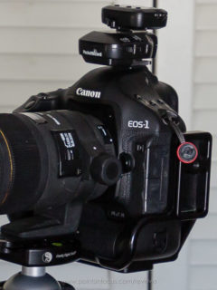 Parfocal test 16mm to 35mm, 100% crop at 35mm.