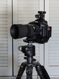 Parfocal test 35mm to 16mm, 100% crop at 16mm.