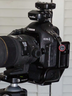 Parfocal test 35mm to 16mm, 100% crop at 35mm.