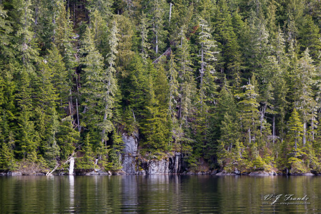 Big goat lake, misty fjords national monument, tongass forrest, alaska