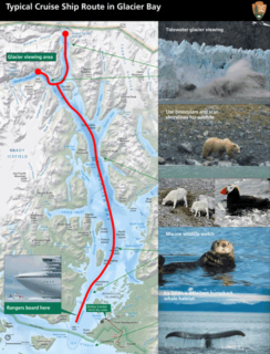 Typical cruise ship routes in glacier bay (click to download nps pdf)