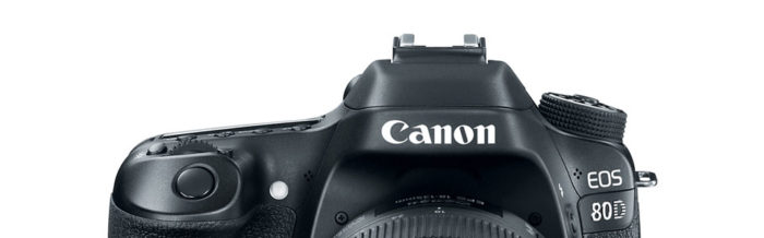 Thoughts on the Canon EOS 80D and EF-S 18-135mm f/3.5-5.6 IS USM lede
