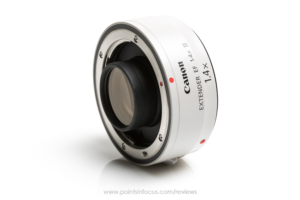 Canon Extender EF 1.4x III Review • Points in Focus Photography